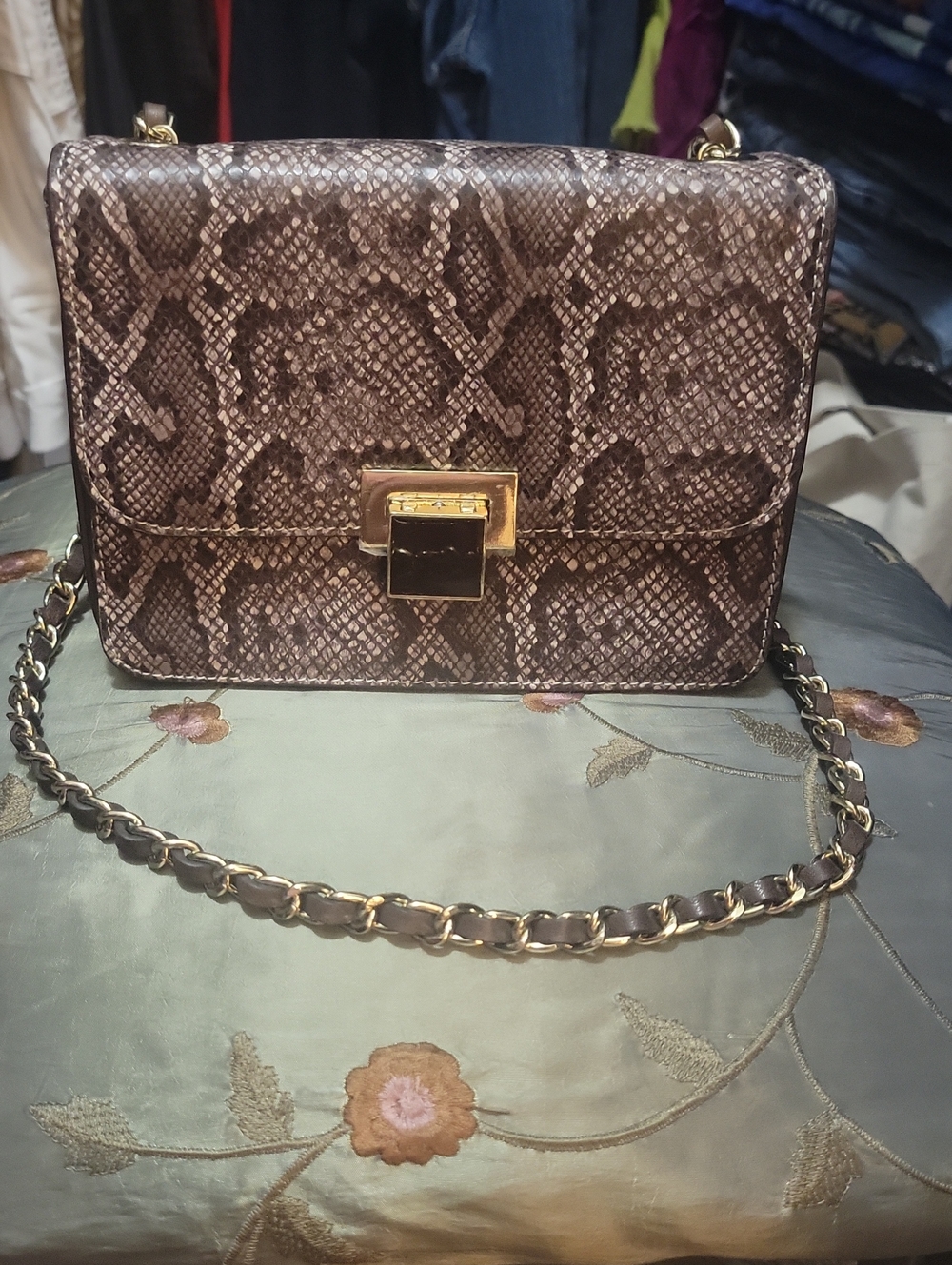 Snake-Print Chain Crossbody Bag in Brown